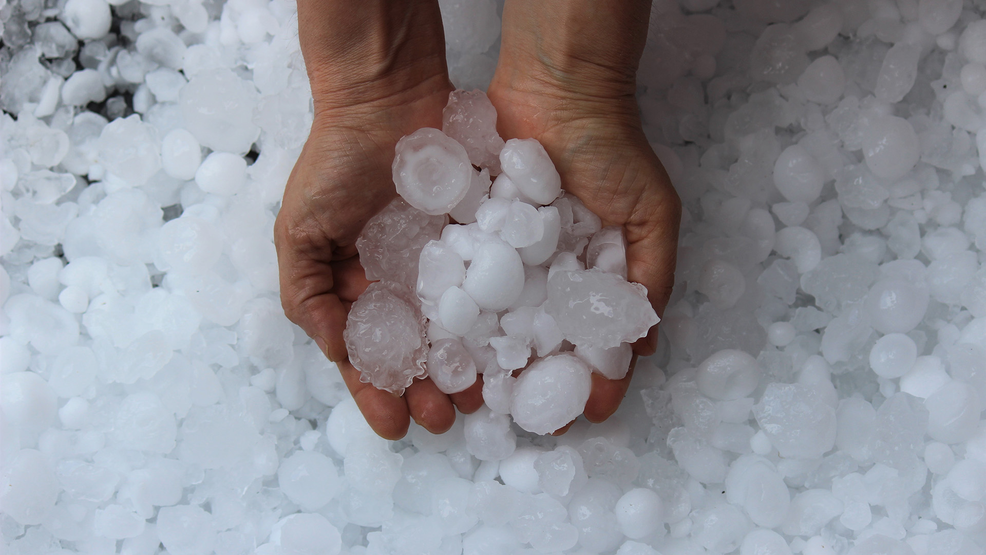 Featured image for “The Telltale Signs of Hail Damage: A Guide for Sweetwater, Texas Homeowners”