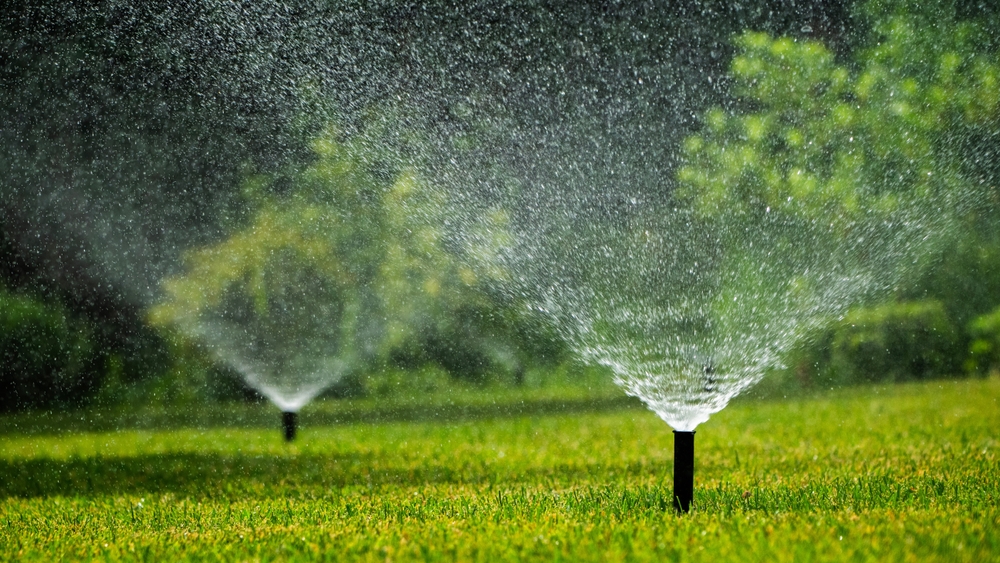 Featured image for “Ensuring a Thriving Lawn in Texas: The Essential Role of a Proper Sprinkler and Irrigation System”